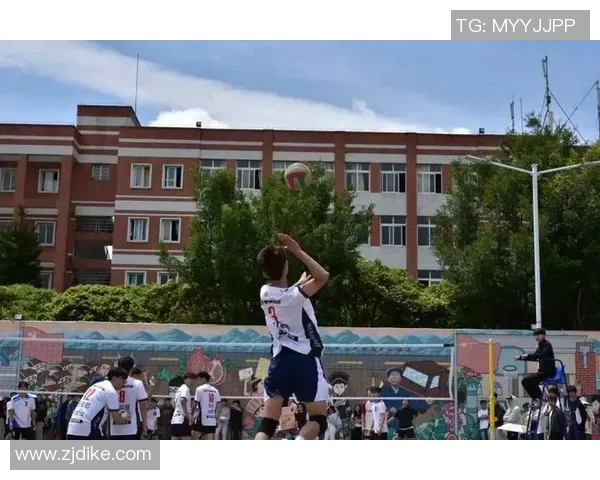 南京排球队的力量探秘展现青春拼搏与团队精神的魅力 南京排球队的力量探秘展现青春拼搏与团队精神的魅力