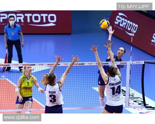 王芳专访揭秘排球成功秘诀与欧冠足球的精彩对比分析 王芳专访揭秘排球成功秘诀与欧冠足球的精彩对比分析