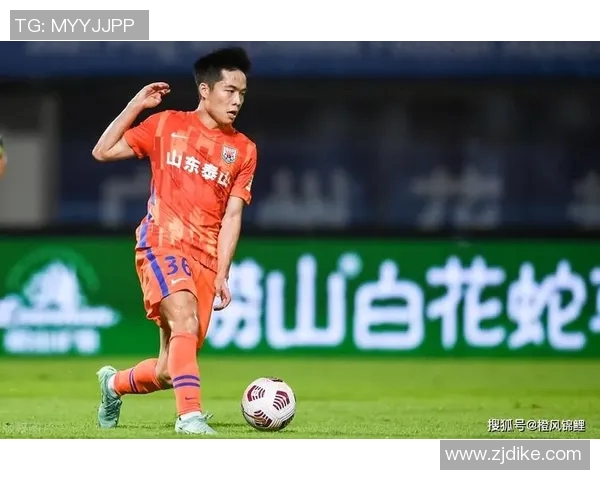 深圳排球队个人能力引发热议球迷对球员表现产生分歧与争论